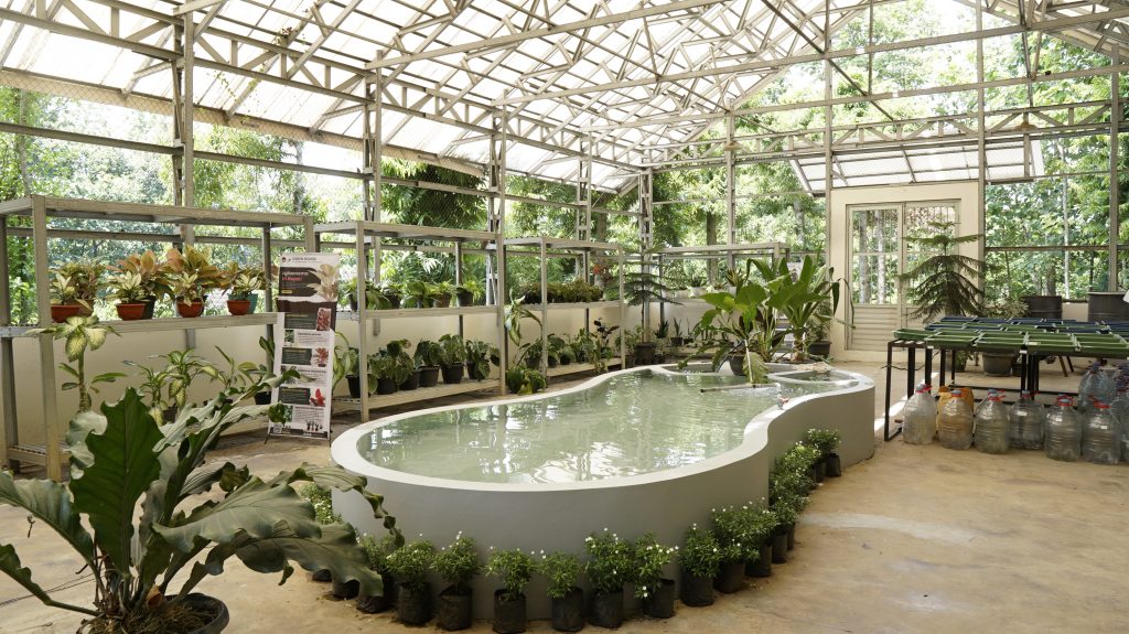 Greenhouse